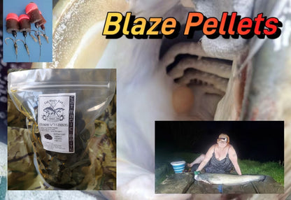 Blaze Catfish Session Pack - Pellets, Squidlets, Popups