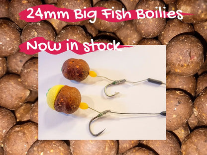 24mm big fish boilies 2 bag sizes
