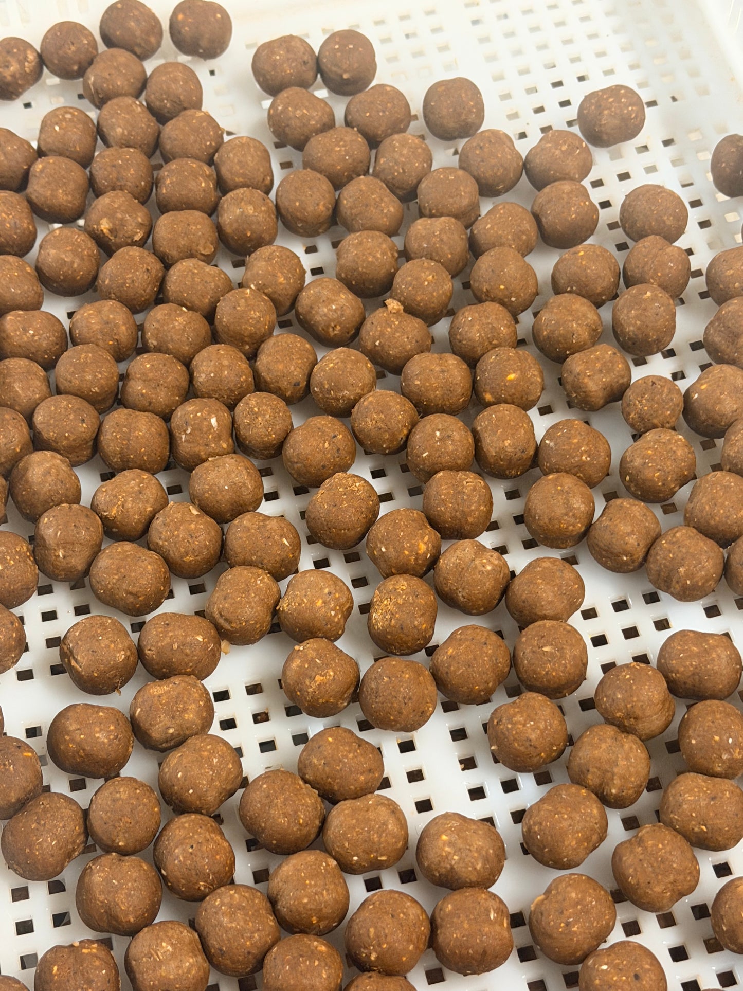 24mm big fish boilies 2 bag sizes